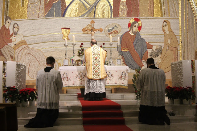 Read more about the article TLM Ljubljana: December 2020