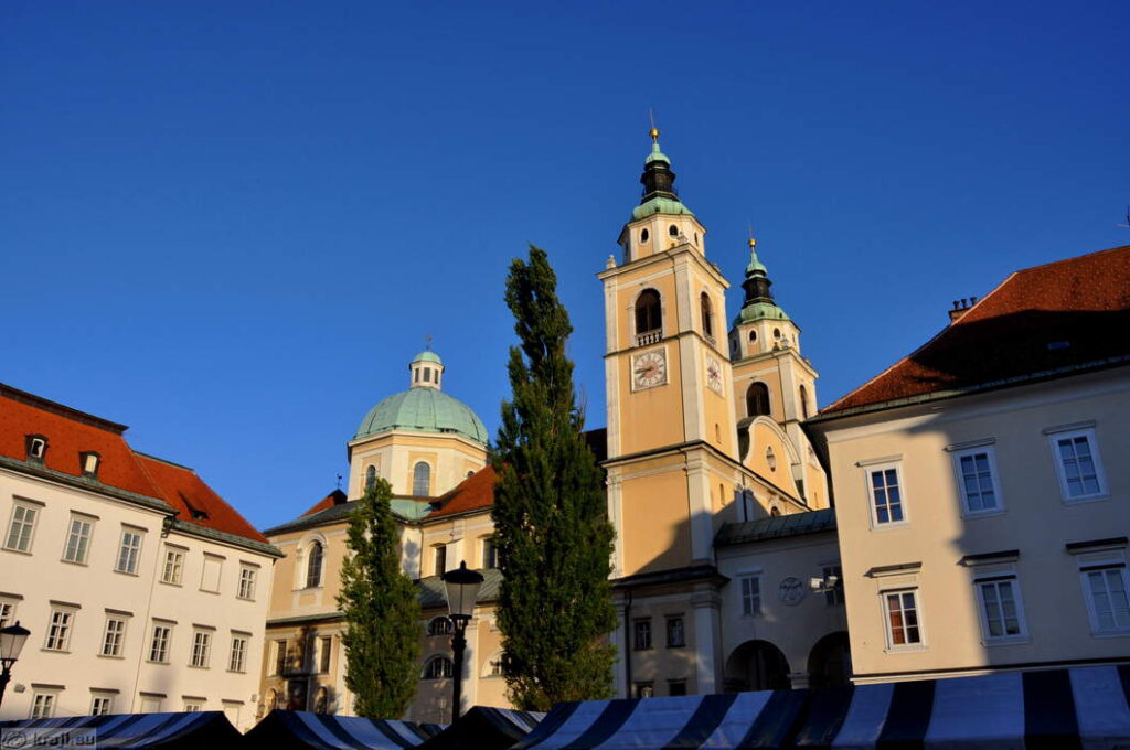 Read more about the article Molitev v stolnici – 21. 12. 2021